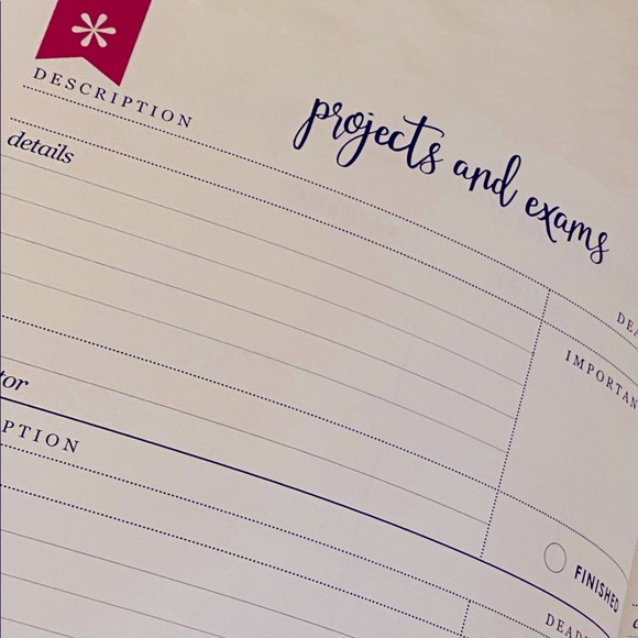 NEW Erin Condren Academic Planner - Orange Texas Hearts - Picture 4 of 7